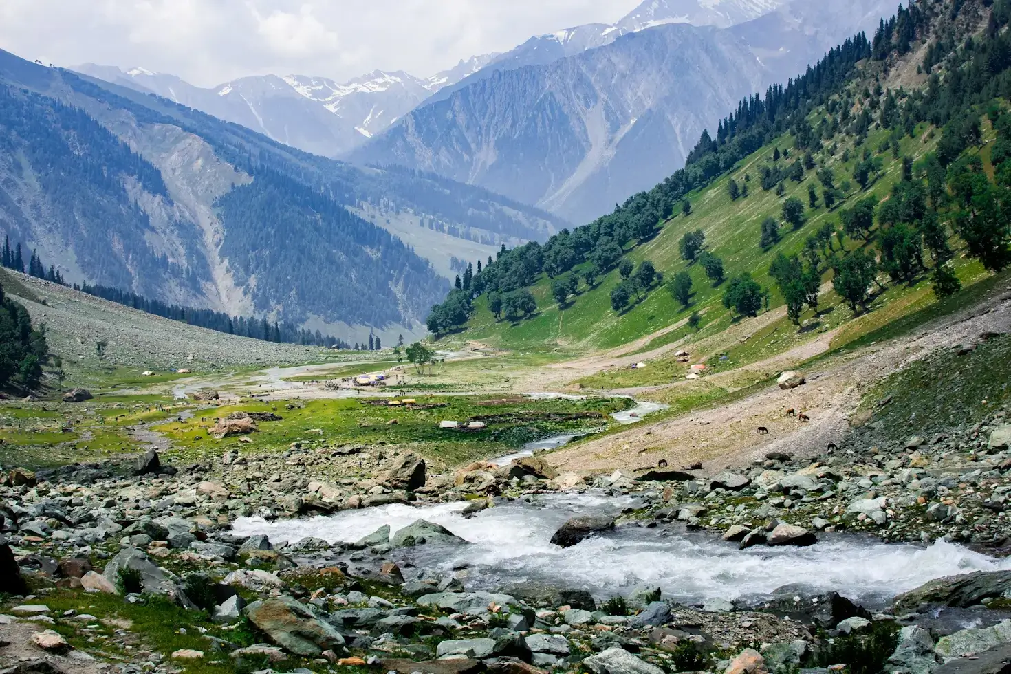 Kashmir valley